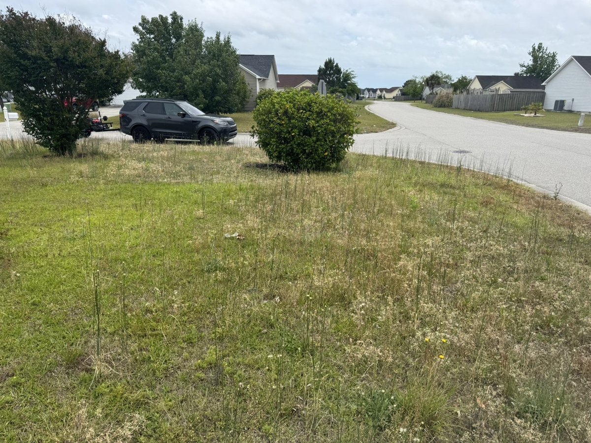 Patchy overgrown yard before lawn care — Castle Hayne NC